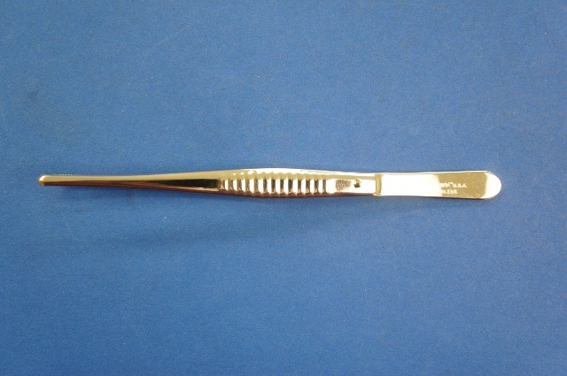 Arrow Forceps Dressing 5.50inch Length Straight and Serrated Jaw Round Tip